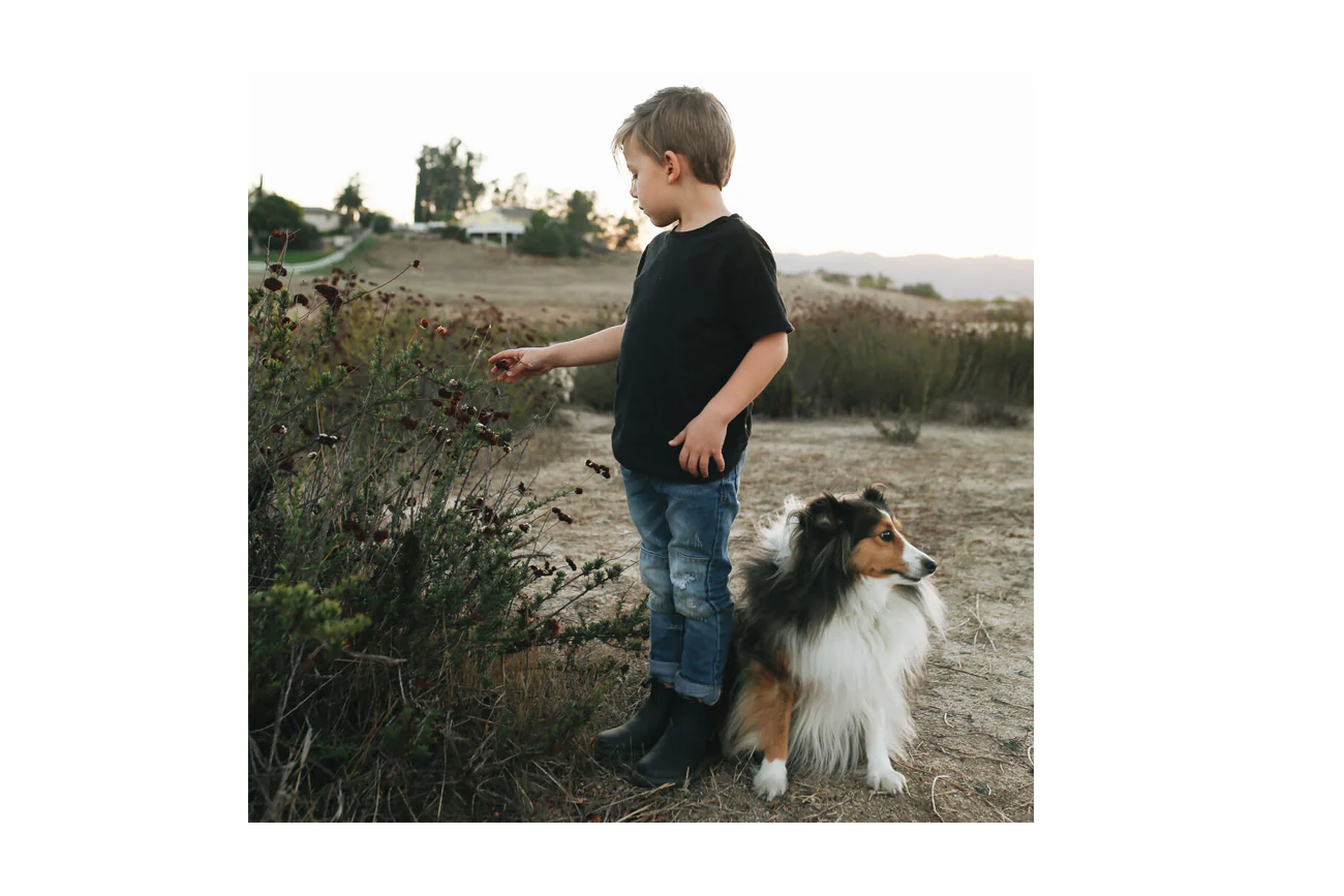 Blundstone #531 Black - Image 6